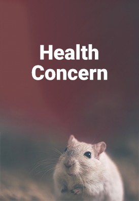 rat control
