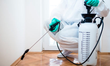 How To Deal With Pest Infestation In Office