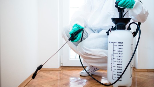 How To Deal With Pest Infestation In Office