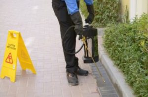 Pest Control Burwood