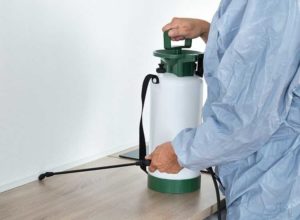 Pest Control Boronia