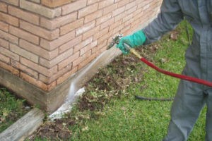 Pest Control Cockatoo