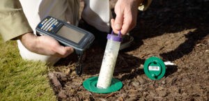 Pest Control Canterbury 