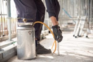 Pest Control Melbourne Eastern Suburbs