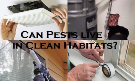 Can Pests live in Clean Habitats?