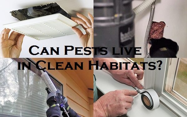Can Pests live in Clean Habitats?