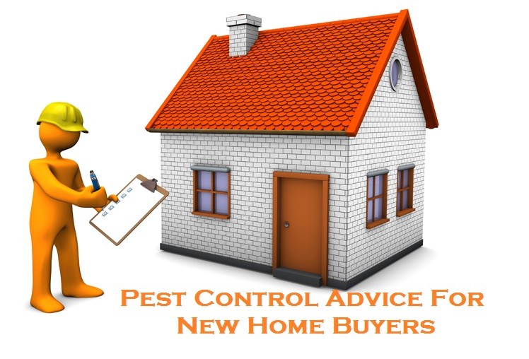 Pest Control Advice For New Home Buyers