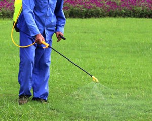 PEST CONTROL GLEN HUNTLY