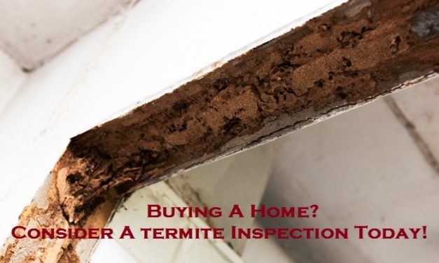 Buying A Home? Consider A termite Inspection Today!