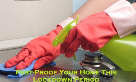 Pest-Proof Your Home This Lockdown Period