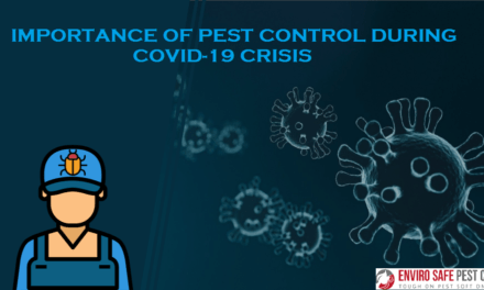 Importance Of Pest Control During COVID-19 Crisis