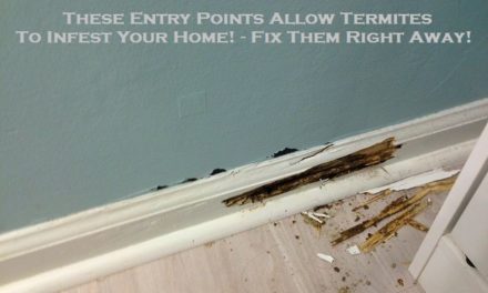 These Entry Points Allow Termites To Infest Your Home! – Fix Them Right Away!