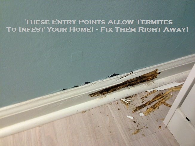 These Entry Points Allow Termites To Infest Your Home! – Fix Them Right Away!