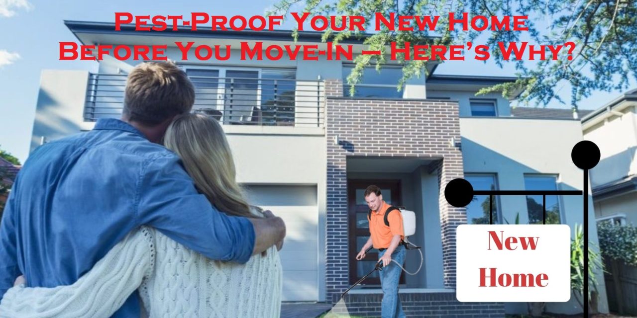 Pest-Proof Your New Home Before You Move-In – Here’s Why?