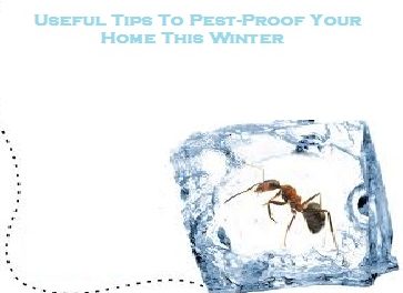 Useful Tips To Pest-Proof Your Home This Winter