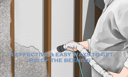 4 Effective & Easy Ways To Get Rid Of The Beehive