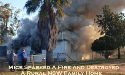 Mice Sparked A Fire And Destroyed A Rural NSW Family Home