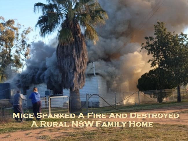 Mice Sparked A Fire And Destroyed A Rural NSW Family Home