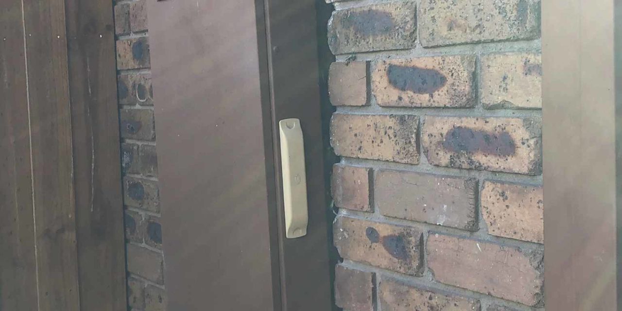 Wasp Behind Electrical Metre Box Scares Homeowner- Wasp Nest Removal In Bayswater, Melbourne