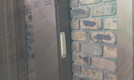 Wasp Behind Electrical Metre Box Scares Homeowner- Wasp Nest Removal In Bayswater, Melbourne
