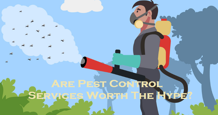Are Pest Control Services Worth The Hype?