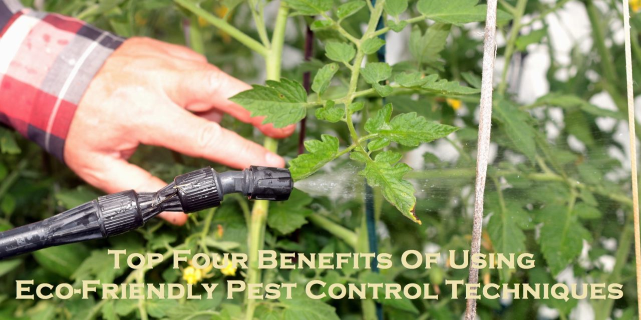Top Four Benefits Of Using Eco-Friendly Pest Control Techniques