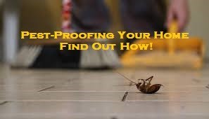 Pest-Proofing Your Home – Find Out How!