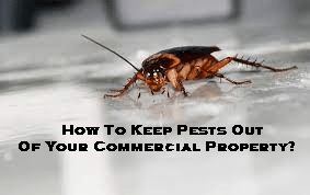 How To Keep Pests Out Of Your Commercial Property?