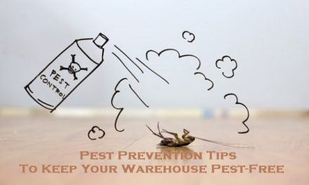 Pest Prevention Tips To Keep Your Warehouse Pest-Free