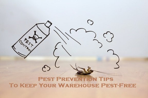 Pest Prevention Tips To Keep Your Warehouse Pest-Free