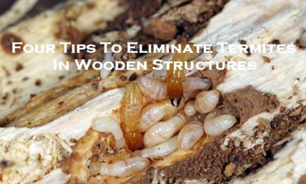 Four Tips To Eliminate Termites In Wooden Structures