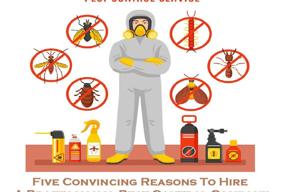 Five Convincing Reasons To Hire A Professional Pest Control Company