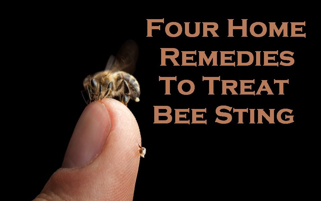 Four Home Remedies To Treat Bee Sting