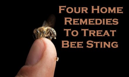 Four Home Remedies To Treat Bee Sting