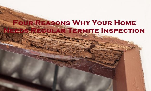Four Reasons Why Your Home Needs Regular Termite Inspection