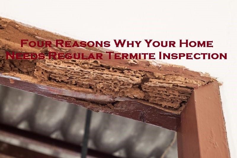 Four Reasons Why Your Home Needs Regular Termite Inspection