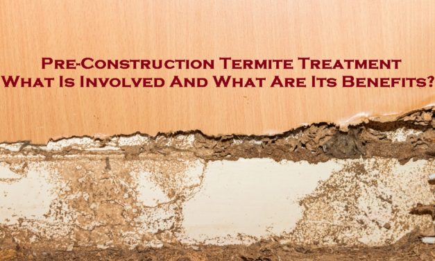 Pre-Construction Termite Treatment – What Is Involved And What Are Its Benefits?