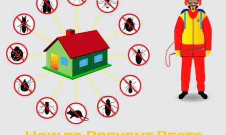 How to Prevent Pests from Entering Your Home?