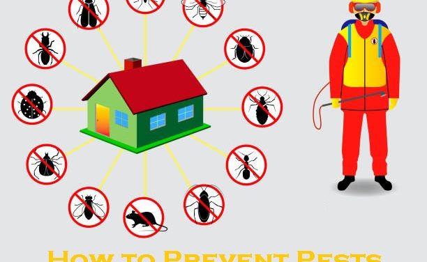 How to Prevent Pests from Entering Your Home?