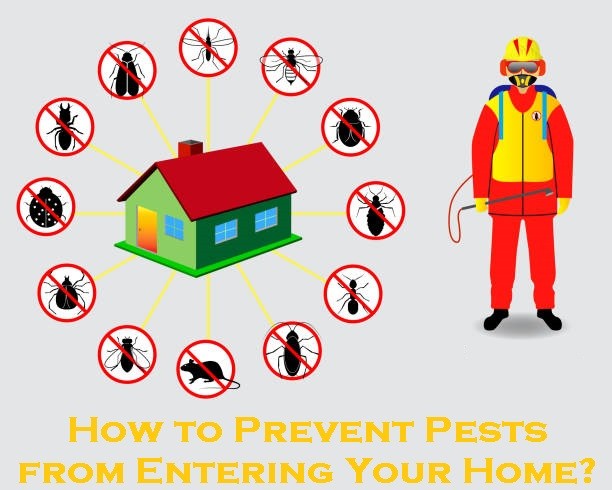 How to Prevent Pests from Entering Your Home?
