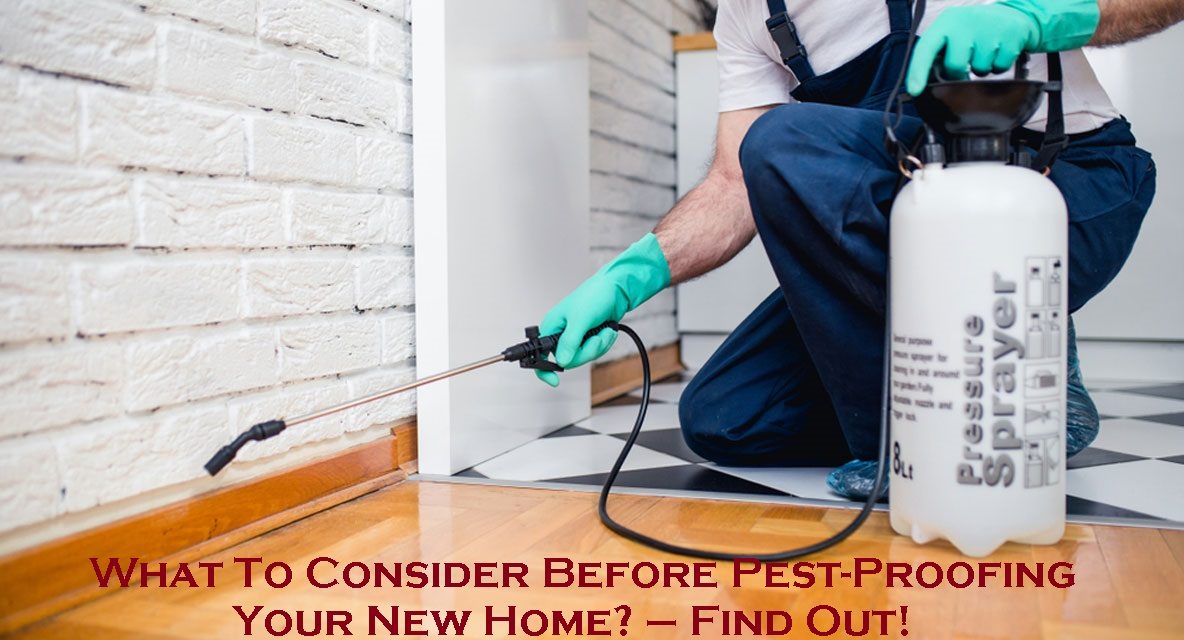 What To Consider Before Pest-Proofing Your New Home? – Find Out!