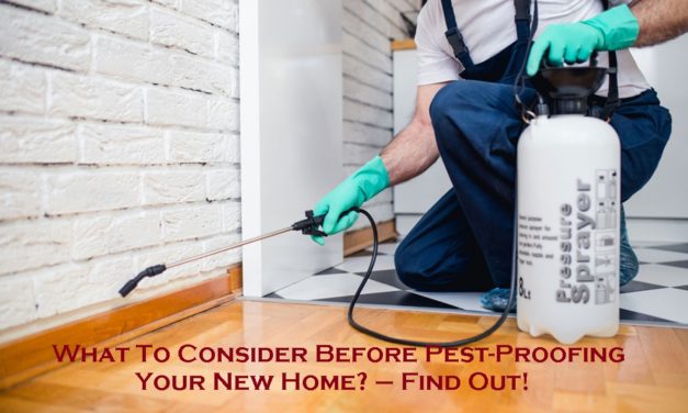 What To Consider Before Pest-Proofing Your New Home? – Find Out!