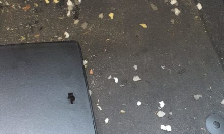 Case Study: Mouse or Rodents might mark its territory in your car.
