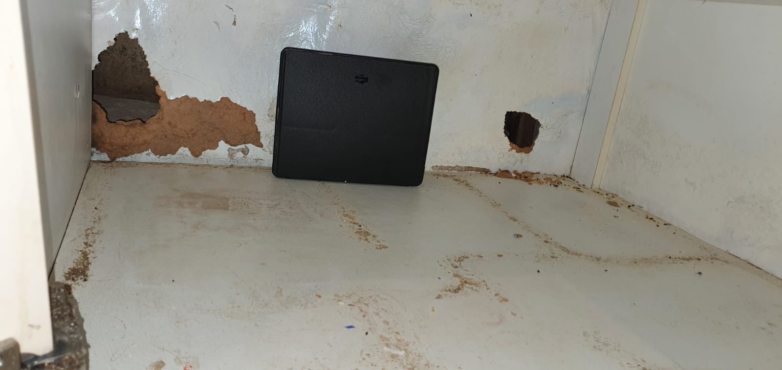 damage by rats pantry