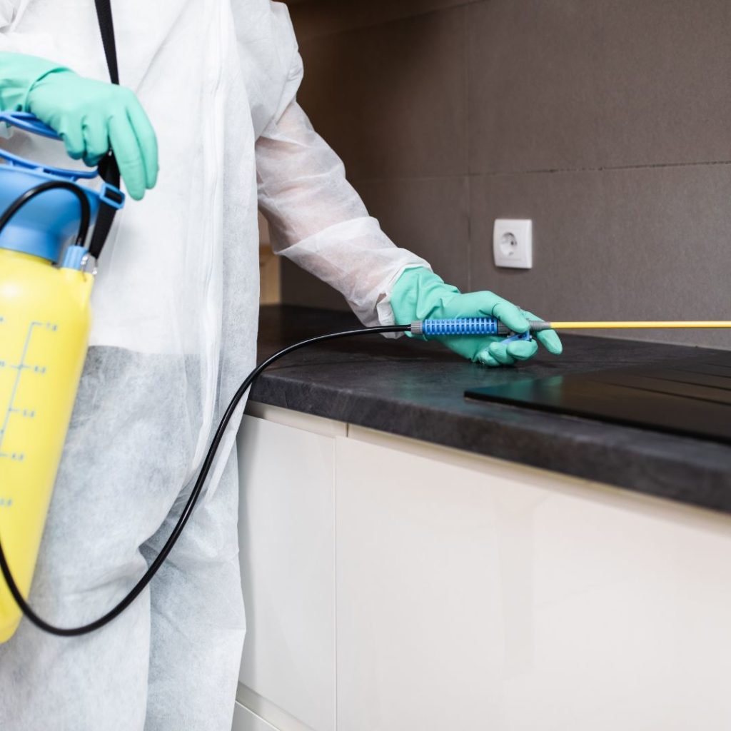 End of Lease Pest Control Melbourne