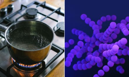 Boil Water Advisory Issued for Flinders, Shoreham and Point Leo Following Contamination Risk