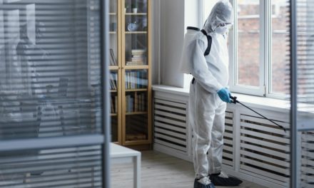 DIY Pest Control vs Professional Pest Control: What’s Safer for Your Home?